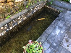 -炊烟餐厅