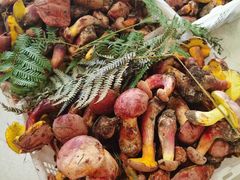 -双喜农庄·菌香园(安居家园店)