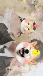 -素合写真摄影(合肥原创店)