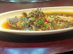 -胖大姐黄辣丁鱼庄(新津店)