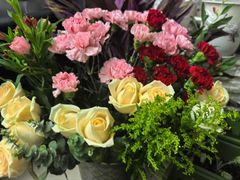 -溪岸路花鸟市场