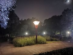 -眉山湿地公园(东坡区)