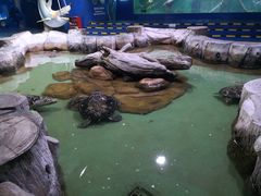 -重庆欢乐海底世界