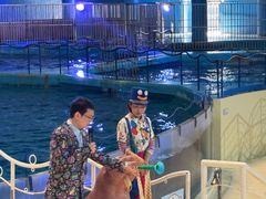 -泉城欧乐堡海洋极地世界