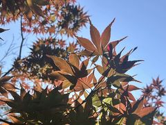 -敬亭山风景名胜区