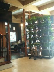 店内环境-新肤洗纹身