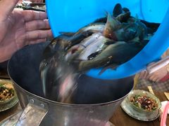 -老船夫石锅苗苗鱼·老字号(三道堰总店)