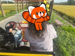 -嘉北郊野公园