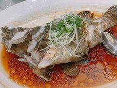 清蒸桂花鱼-稻香酒家·35年老字号(侨光店)