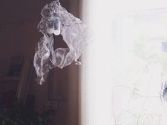 -蓝山四季西餐植物店