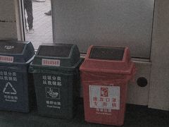 -长洲岛