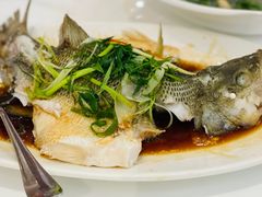 -至潮餐厅精致粤菜·活鲈鱼·走地鸡(珠江新城店)