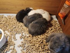 -三旗百汇商品城