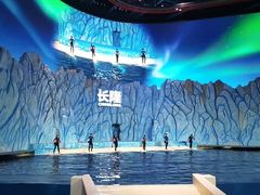 -珠海长隆海洋王国