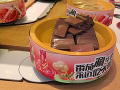 -龍歌自助小火锅(崂山丽达店)