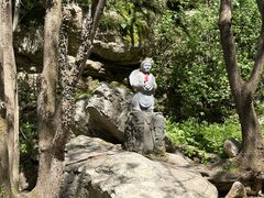 -王顺山国家森林公园