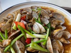 葱姜炒花蛤-鑫悦楼煎蟹·16年海鲜大排档