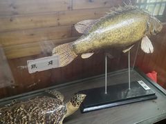 -南京金牛湖风景区