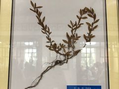 -杭州市萧山区中医院