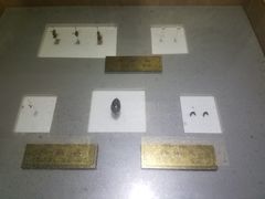 -上海昆虫博物馆