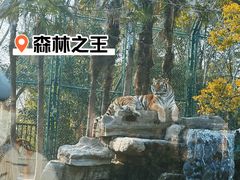 -上海野生动物园