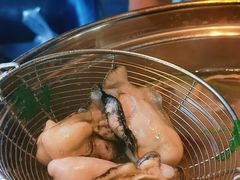 生蚝-千岛蚝高压锅生蚝·人参火锅(白云万达店)