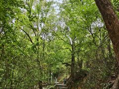 -金鸡山公园
