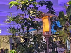 -桂满陇·杭州小馆(朝阳合生汇店)