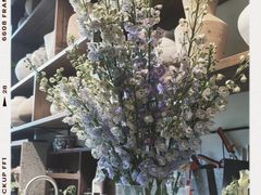 -自由生长植物工作室(深港花卉中心店)