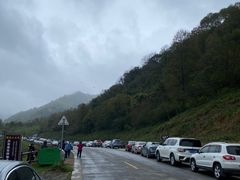 -狮子沟牧场