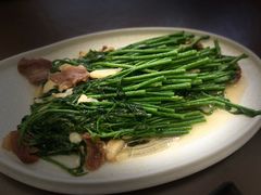 树仔菜-大洋家·精品潮汕菜·生腌砂锅粥(天河东路店)