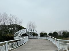 -同里国家湿地公园