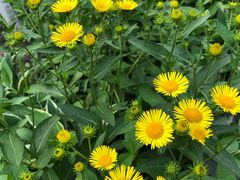 -长春公园(普阳街道)