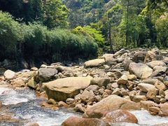-姑婆山旅游区