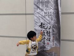-凤凰中心