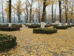 -两江幸福广场