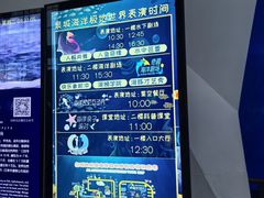 -泉城欧乐堡海洋极地世界