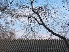 -恭王府博物馆