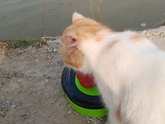 -酷鱼垂钓CLUB(朝阳区博大路店 )