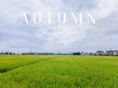 -上海佘山国家森林公园天马山园