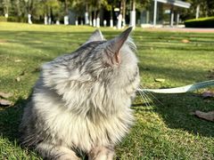 -重庆中央公园(渝北区)