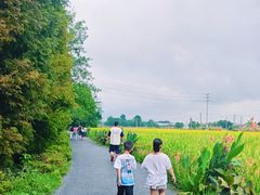 -桤木河湿地公园