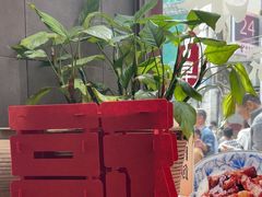 -小泉居(水坑尾店 )