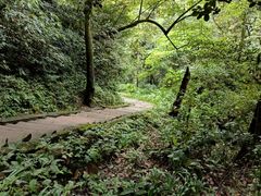 -青城山