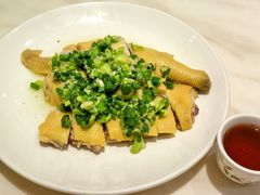 葱香白切鸡（半只）-稻香酒家·35年老字号(侨光店)