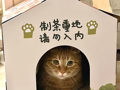 -眷茶(大卫城10楼店)