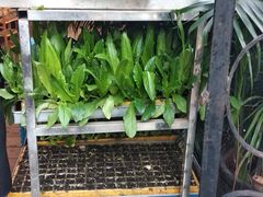 -菌窝子野生菌火锅(学府路店)