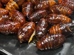 -丹东丛炟海鲜烧烤(江艺路店)