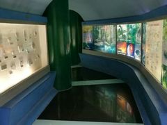 -上海昆虫博物馆