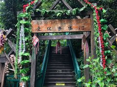 -西双版纳原始森林公园